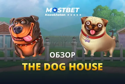 The Dogs House  обзор